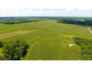 Property photo 44 - LAND AUCTION - 1,193+/- ACRES IN 14 TRACTS IN PIKE & GIBSON COUNTY, INDIANA